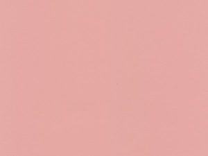 600x800_resizeinto_P502_2151_PALE_PINK-855-800-600-80