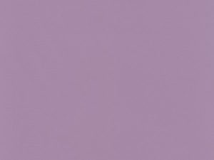 600x800_resizeinto_P502_2164_VIOLET-865-800-600-80