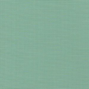 Green-Tea-1