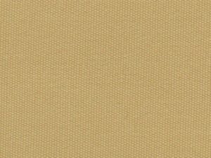 Lisos_2022_Caramel-249-800-600-80