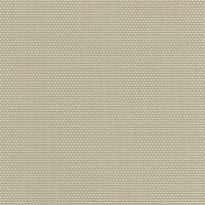 Paperbark-99