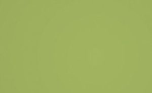 Recacril_Pistacio_R_160-909-800-600-80
