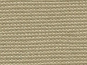 Sea_Star_8639_BEIGE-317-800-600-80