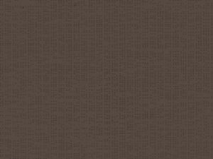 Soltis_92_2043_BRONZE-780-800-600-80