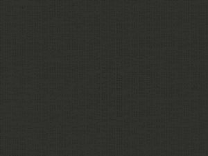 Soltis_92_2053_BLACK-787-800-600-80