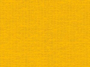 Soltis_92_2166_BUTTERCUP-802-800-600-80