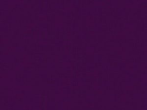 Soltis_92_50336_PLUM-823-800-600-80